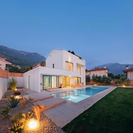 Villa Neo With 2 Private Pools, Bbq, Jacuzzi And Sauna Фетие Екстериор снимка