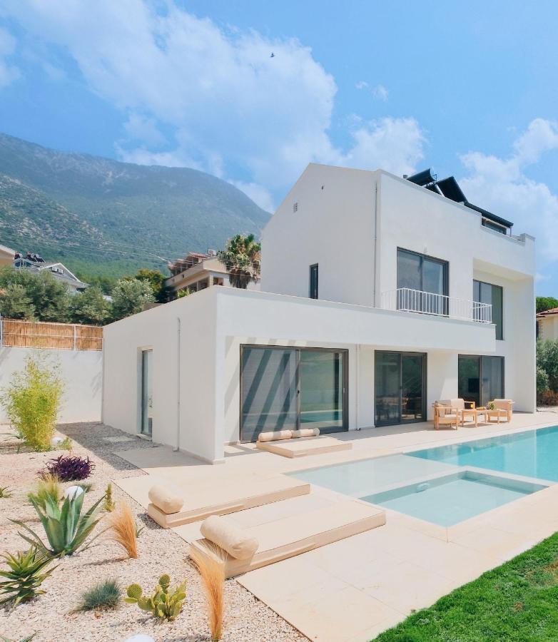 Villa Neo With 2 Private Pools, Bbq, Jacuzzi And Sauna Фетие Екстериор снимка